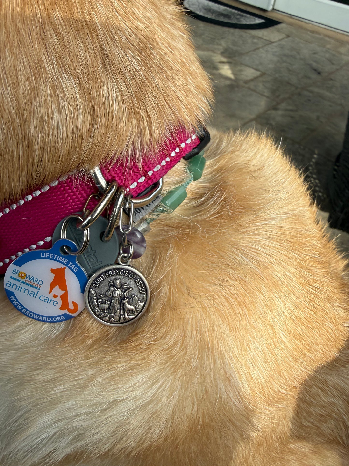 Charm para mascotas con la medalla de San Francisco de Asis y Rondelles de amatista o Aventurina Verde